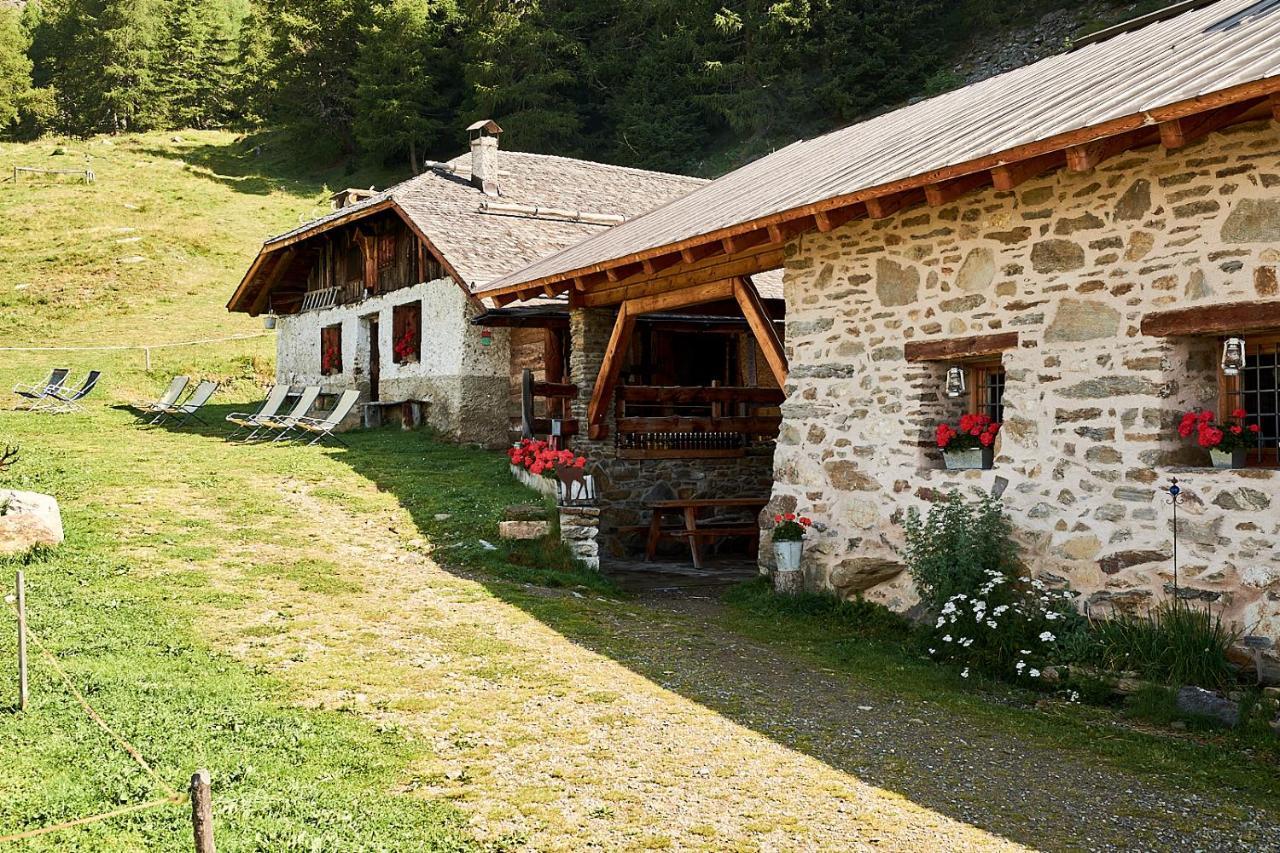 Nestalp Malga Campo Vila Peio Exterior foto