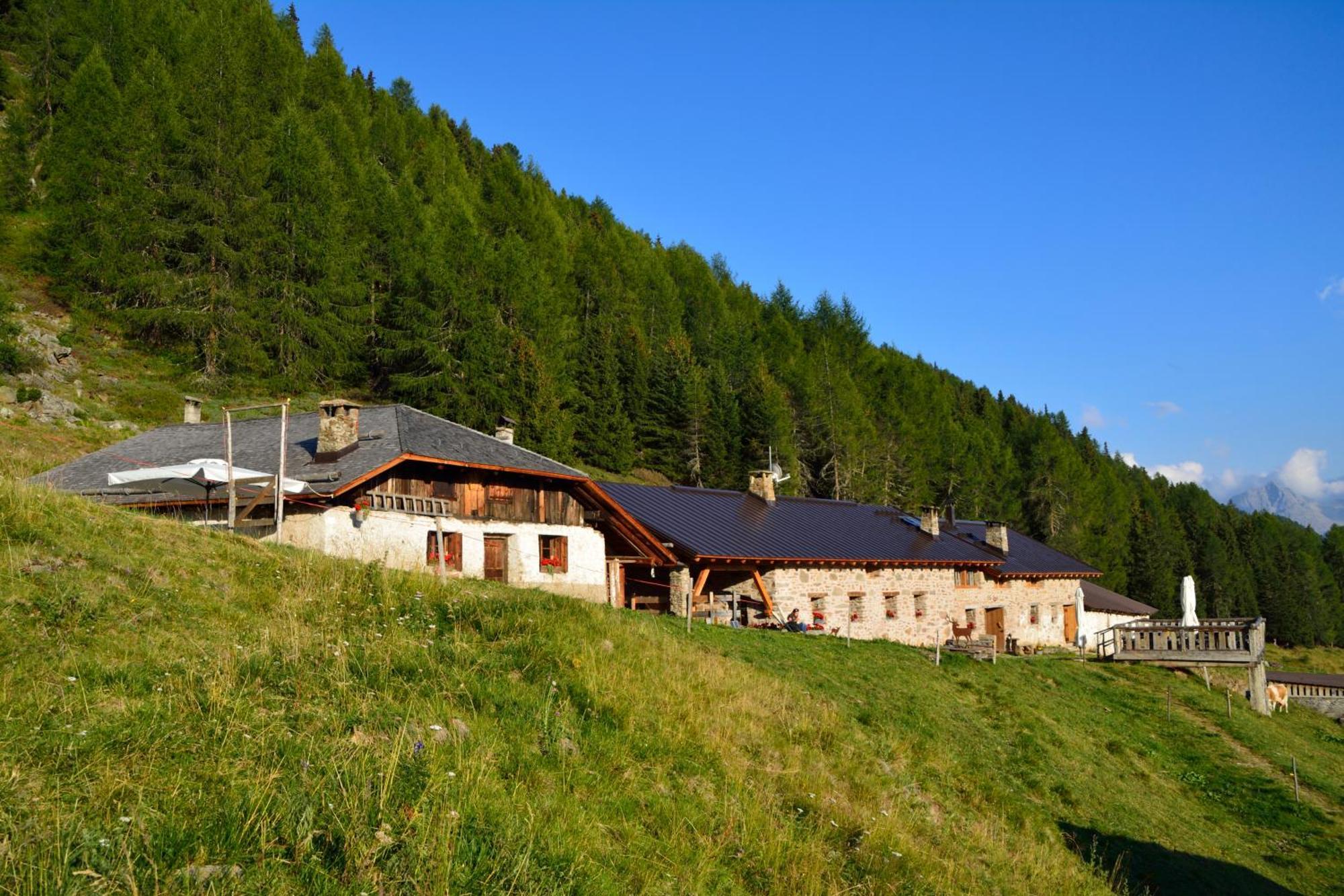 Nestalp Malga Campo Vila Peio Exterior foto