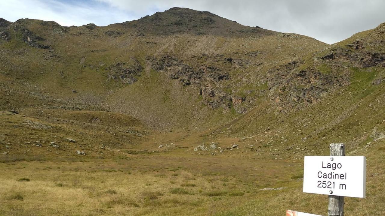 Nestalp Malga Campo Vila Peio Exterior foto